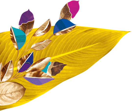 Feuilles au premier plan côté gauche