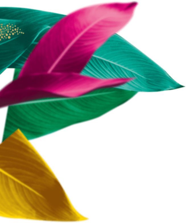 Feuilles au troisième plan côté gauche