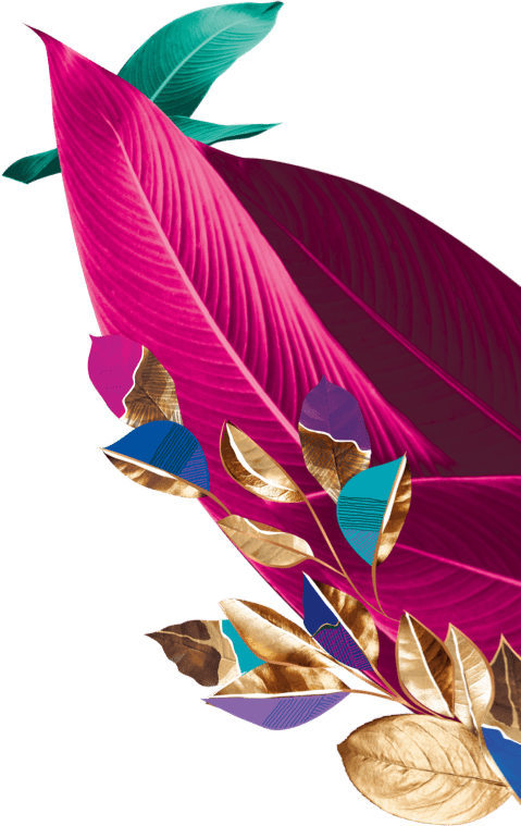 Feuilles au second plan côté droit