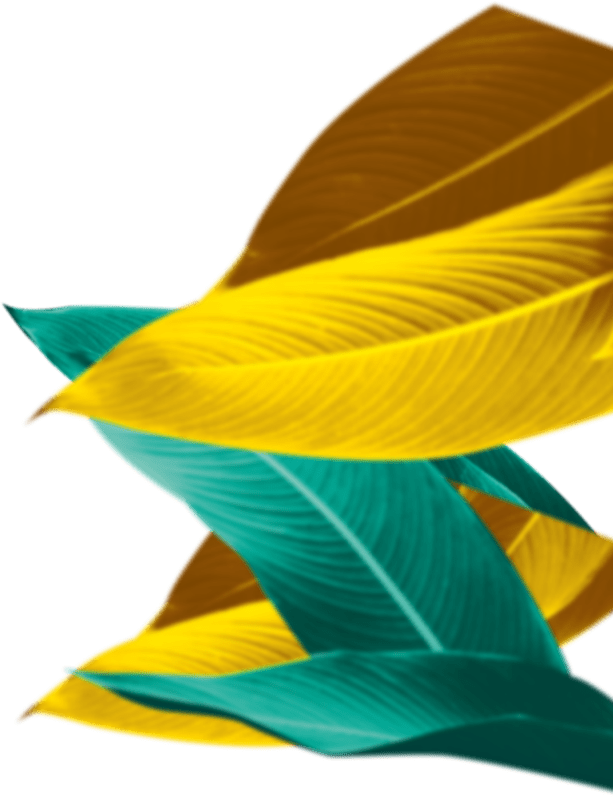 Feuilles au second plan côté droit