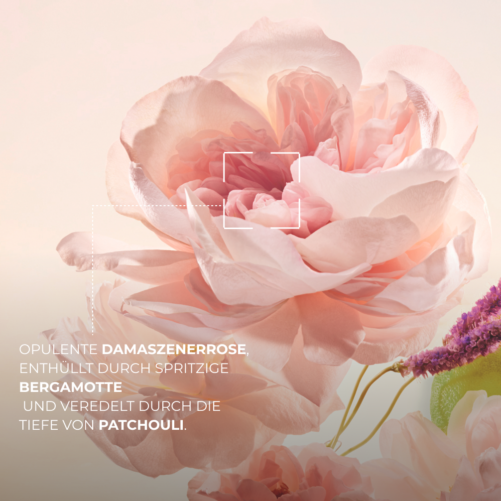 Set Comme Une Évidence – Eau de Parfum & Duschgel