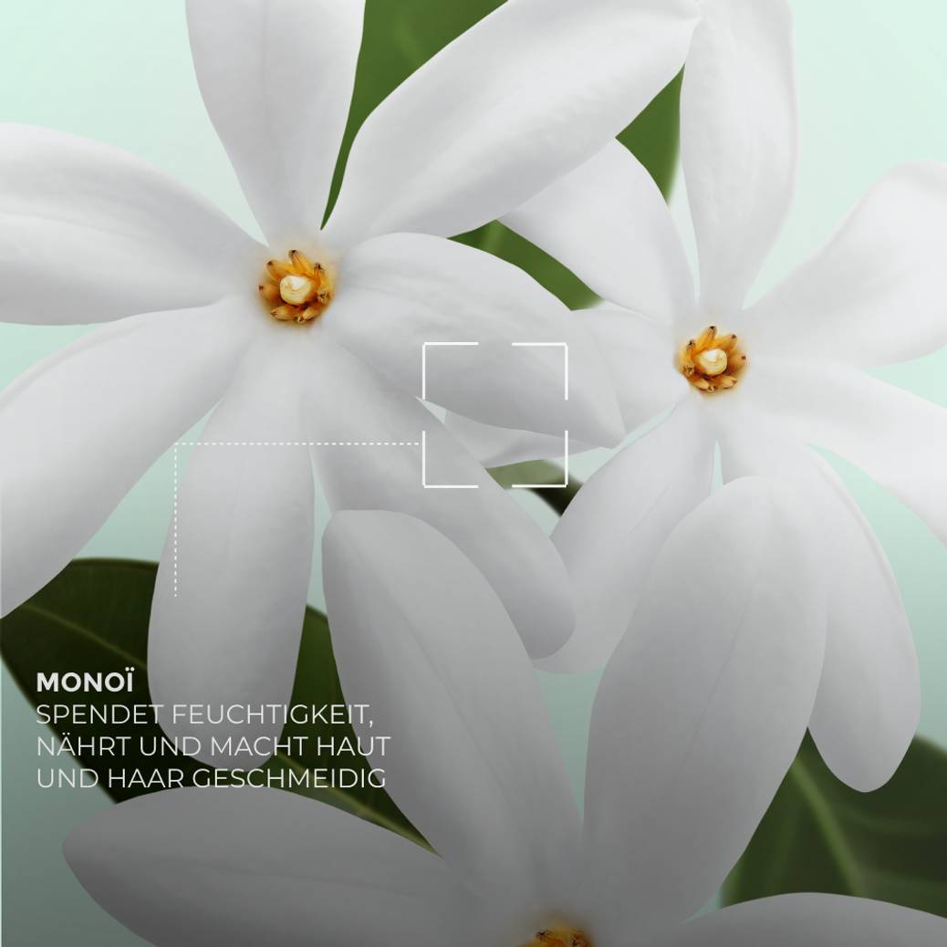 Monoi Haar-Set