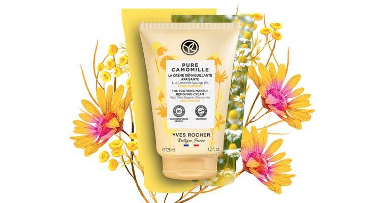 die milde Power der Kamille