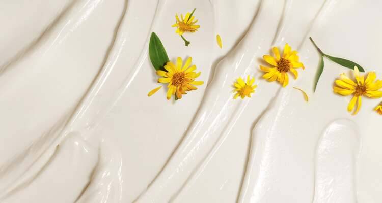 Les bienfaits de mon Arnica bio de France