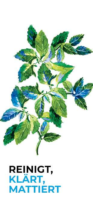 Porenverfeinernde Kohle-Maske